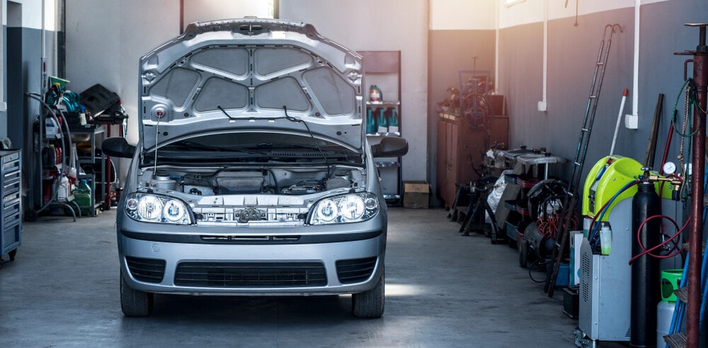 10 formas de mantener a los ratones, ratas y otros roedores fuera de su